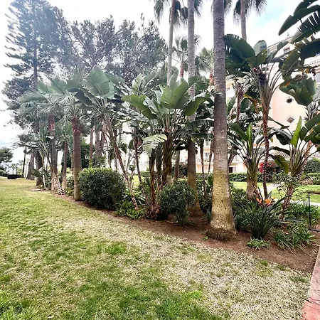 Puerto Banus Au Pied De La